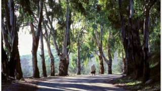 بحبك يالبنان.Wmv