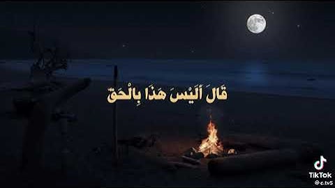 تلاوة ندية بصوت الشيخ محمد أيوب رحمه الله