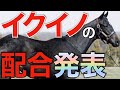 これが歴代最高のラインナップ！イクイノックス初年度の配合相手が発表される。