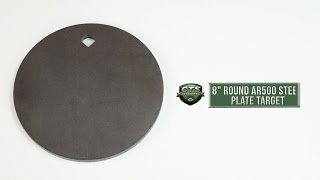 CTS AR500 ROUND STEEL TARGET