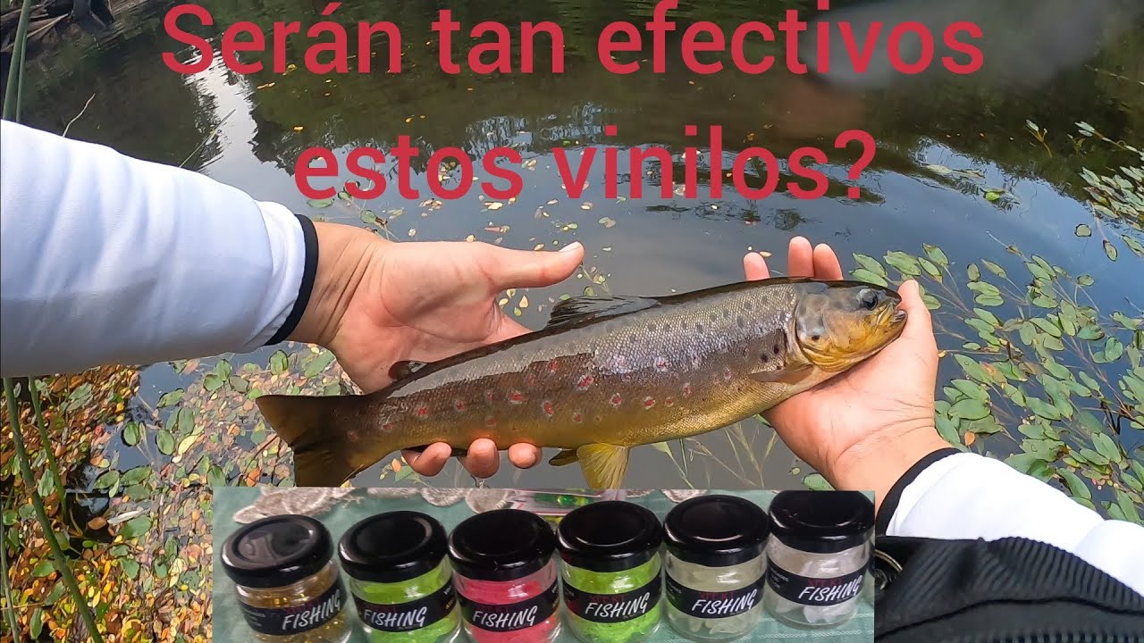 NO PODIA CREER LA EFECTIVIDAD DE ESTOS VINILOS/PESCA DE TRUCHAS/SUR DE CHILE.