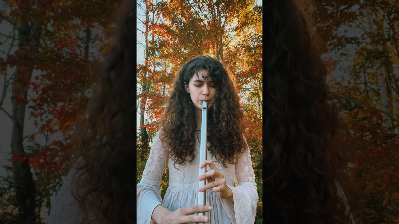 King of the Fairies 🧚 👑 on low D whistle 