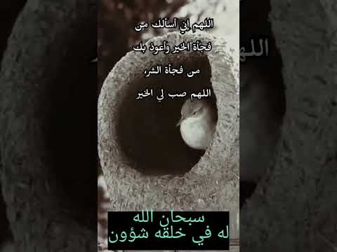 أسأل الله أن يسخر الله لك كل سبل الخير كما سخر الرياح لنبيه سليمان عليه السلام رمضان كريم