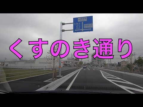 西条 くすのき通り。（西条市下島山⇒西条市古川） / Saijo