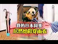 我的日本同事居然给鞋穿雨衣 #日本同事 #东京万花筒 #日常设计 #好物推荐