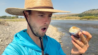 Finding A Dream Agate On The Yellowstone Insane Rock Hunting