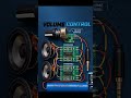 Dual PAM8403 Stereo Amplifier Setup#technology #automobile #PAM8403