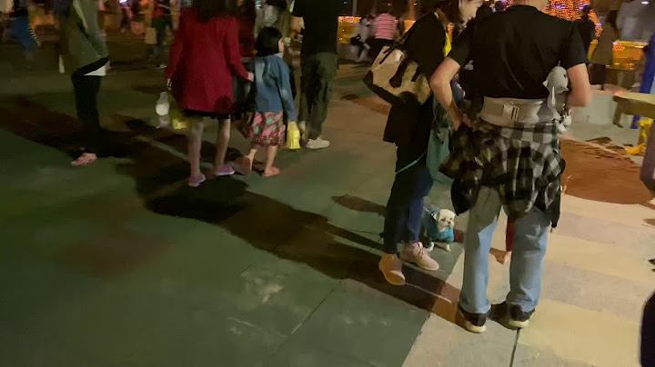 不忘練肖話🔔
