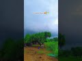 Vaskaro Aen #foziasoomro | Jani re Barsaro aayo ah #monsoon #villagelife #nature #field #marwadi