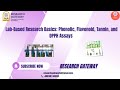 Lab-Based Research Basics: Phenolic, Flavonoid, Tannin, and DPPH Assays ||Research Gateway 2026