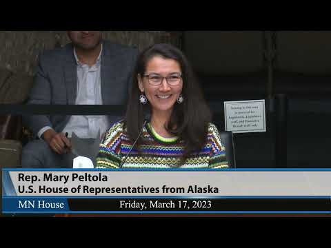 House elections committee