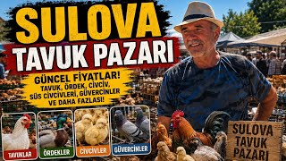 Satanda Alanda Yok!Hiçbir Şey Eskisi gibi Değil!#tavukpazarı