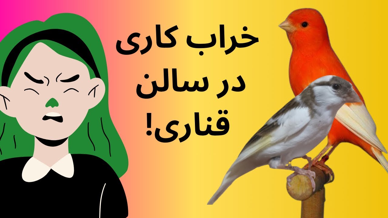 «بریم به جوجه ها سرلاک بدیم!😵‍💫😀»