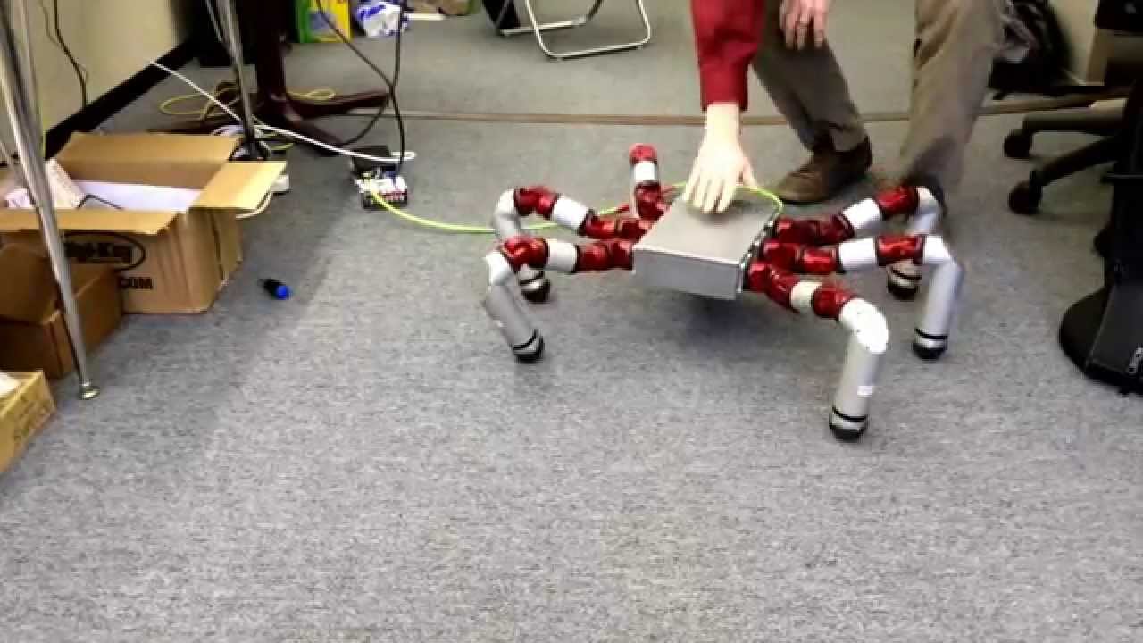 These Slithering Modular Snakebots Are the Future of Robotics