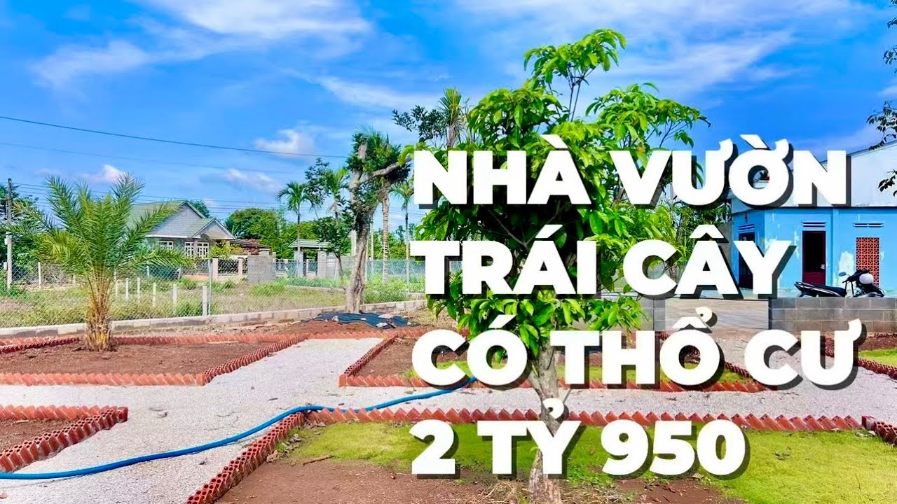 Tình cảnh khó khăn A Duy cần bán nhà vườn có thổ cư , vườn cây ăn trái xanh mát ở BRVT