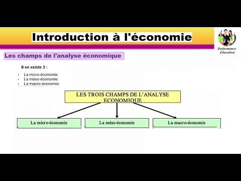 Les champs d&rsquo;analyse économique :  Microéconomie - Mesoéconomie - Macroéconomie