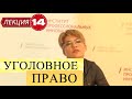 Уголовное право. Лекция 14. Соучастие в преступлении. Часть 2.