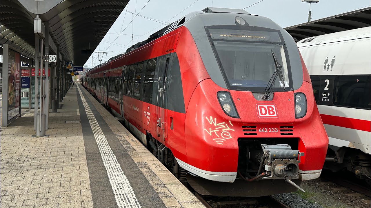 S1: Bamberg - Nürnberg Hbf - Neumarkt (Oberpf)