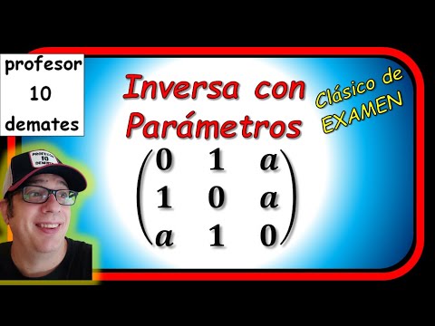 🌟 Inversa de una matriz con parámetros ✔ Ejercicios resueltos