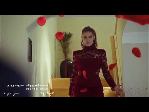 داهان سالفي محمد حماقي ايدي في ايديك