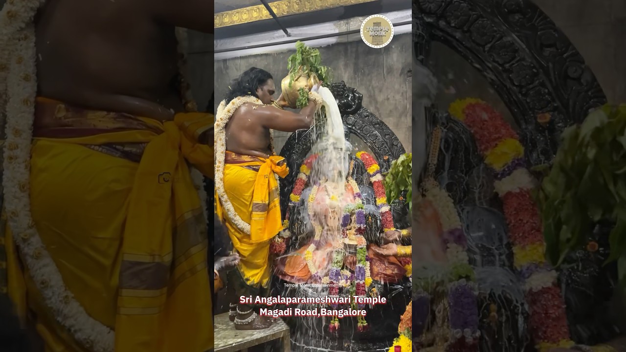 Angalamman Paal Abhishekam 2025 | Sri Angalaparameshwari Temple Magadi Road | 
