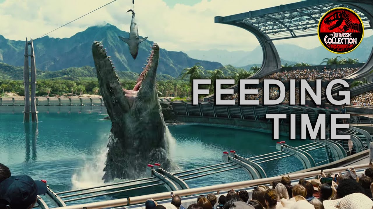 Feeding Time