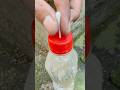 Gardening is Great! Super Trick with a Plastic Bottle, Cotton Bud and PVC Pipe! #diy #garden #tricks