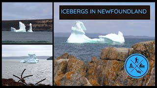 Icebergs in Newfoundland #dickieberg