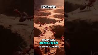 FAKTA AIR MINUM, SEMUT, DAN PLANET MARS #shortvideo #faktaunik #facts