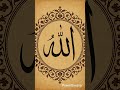 أجمل أنشودة إسلامية بدون موسيقى لا تقنط من روح الله أجمل أنشودة إسلامية بدون موسيقى لا تقنط من روح الله