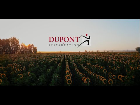 Lecteur vidéo YouTube