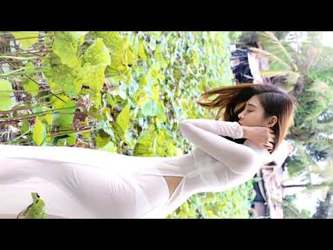Video video 775 giải tri lồng nhạc dành cho các bạn yêu... - youtube