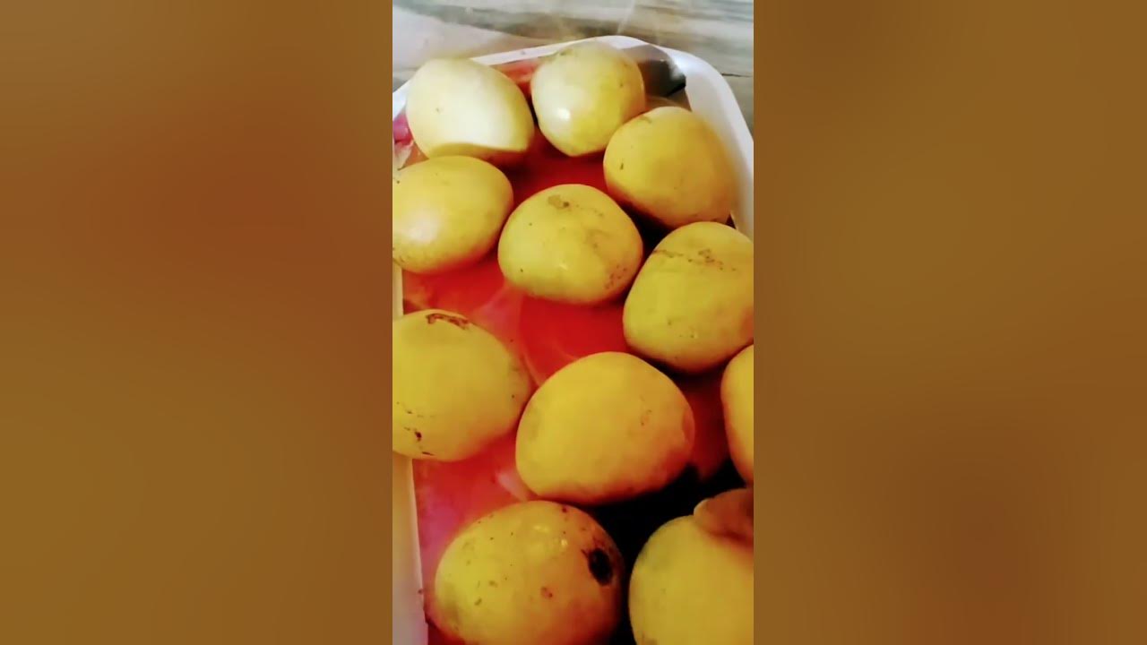 ped-ka-paka-hua-aam-youtube