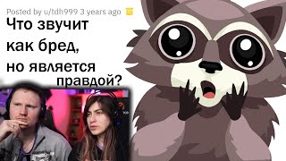 картинка: РЕАЛЬНЫЕ ФАКТЫ, КОТОРЫЕ ЗВУЧАТ КАК ЛОЖЬ | РЕАКЦИЯ на апвоут