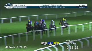 Vidéo de la course PMU PREMIO JOY FILOSO 2019