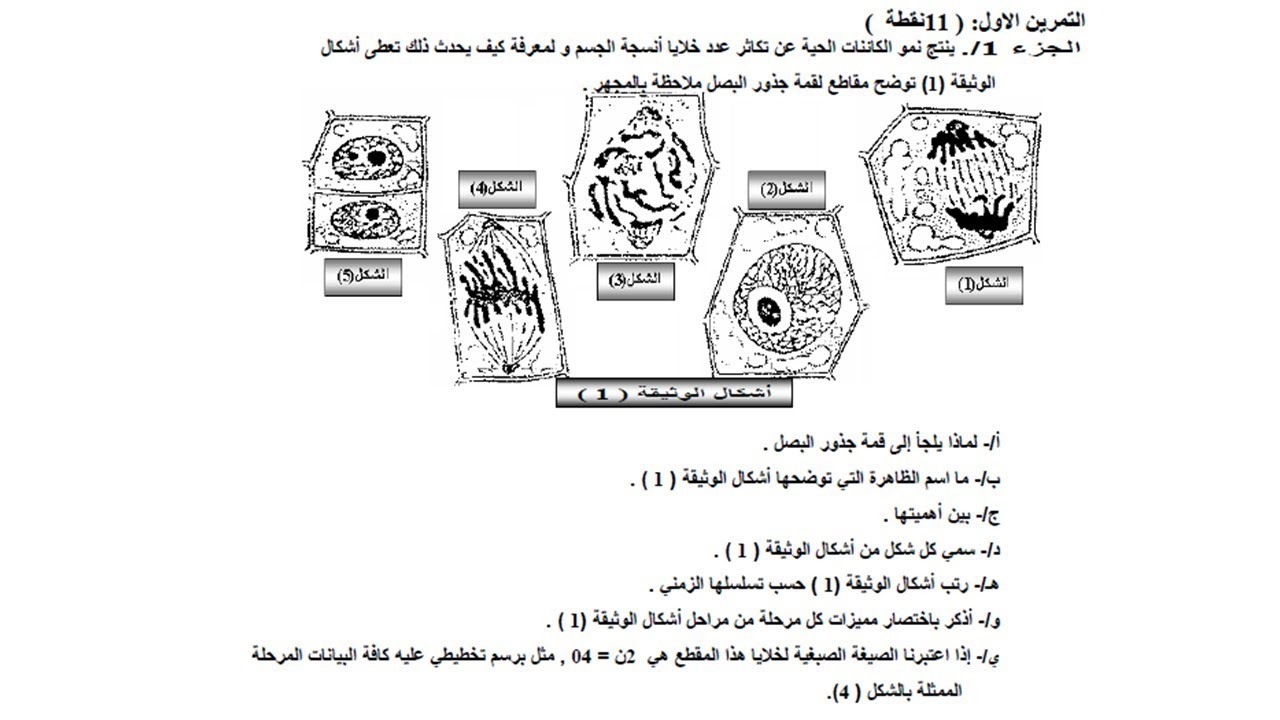 نموذج امتحان الفصل الاول | سلسلة تمارين مع الحلول النموذجية للسنة الاولى ثانوي