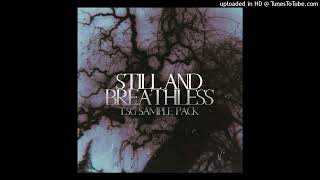 STILL AND BREATHLESS GUITAR SAMPLE PACK @eleseje