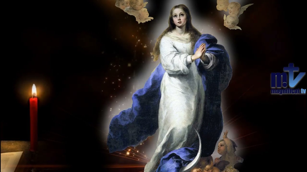 Oración a María Día 10: Transparentes sus ojos inocentes del cordero que acepta sonriente su condena