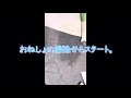 まじで家がションベンくせえ