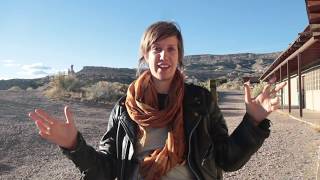 OneBeat Interview - Anna Roberts-Gevalt