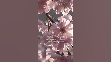 سوره فصلت || اكتب شي تؤجر عليه فالتعليقات 🤍#قرآن