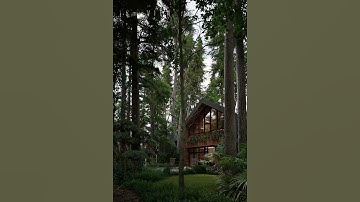 Twinmotion 2025.1.1 - Short Exterior Animation Reel 49