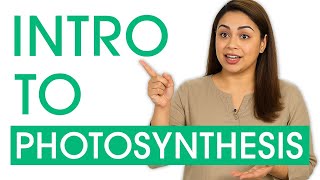 Want To Master PHOTOSYNTHESIS Watch This Now