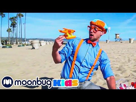 Learn Colors and Counting at a Beach | T-Rex Ranch Adventures | Kids Songs | Moonbug Kids