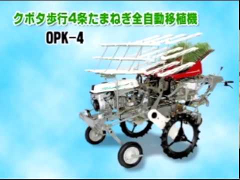 Kubota OPK-4 Walking Transplanter 4 rows planting for Onion - YouTube