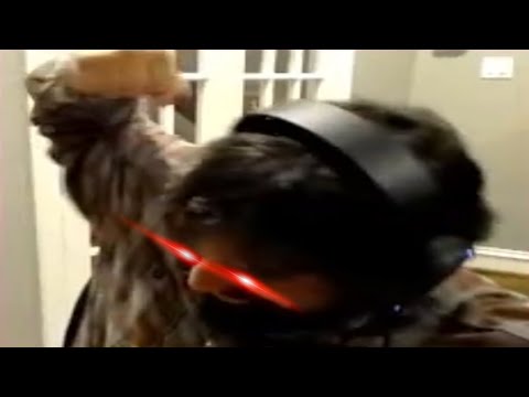 Hugo Martin Blood Punches his DOGE! | Not Really #shorts
