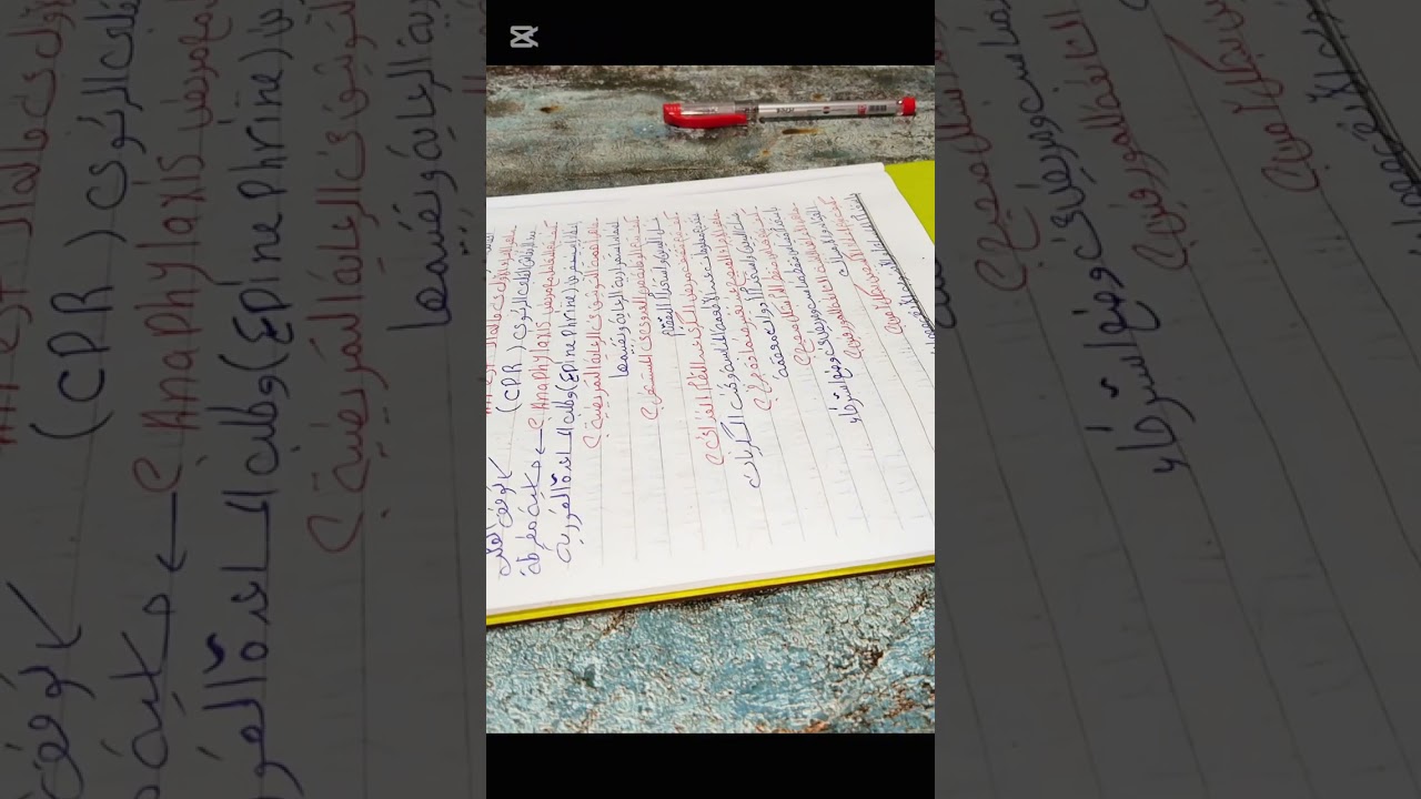 26 سؤال خاص بامتحان البروماتريك مستحيل يخرج حاجه منهم أن شاء الله لايك كومنت حلو اشتراك وانزل الباقي