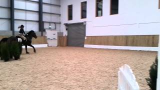Nellie | RDA Jumping