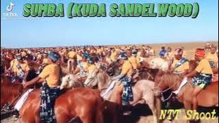 Dj Viral Tik Tok diSumba Sana Ada Kuda Sandelwood