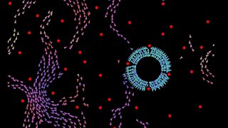 Boids flocking simulation demo